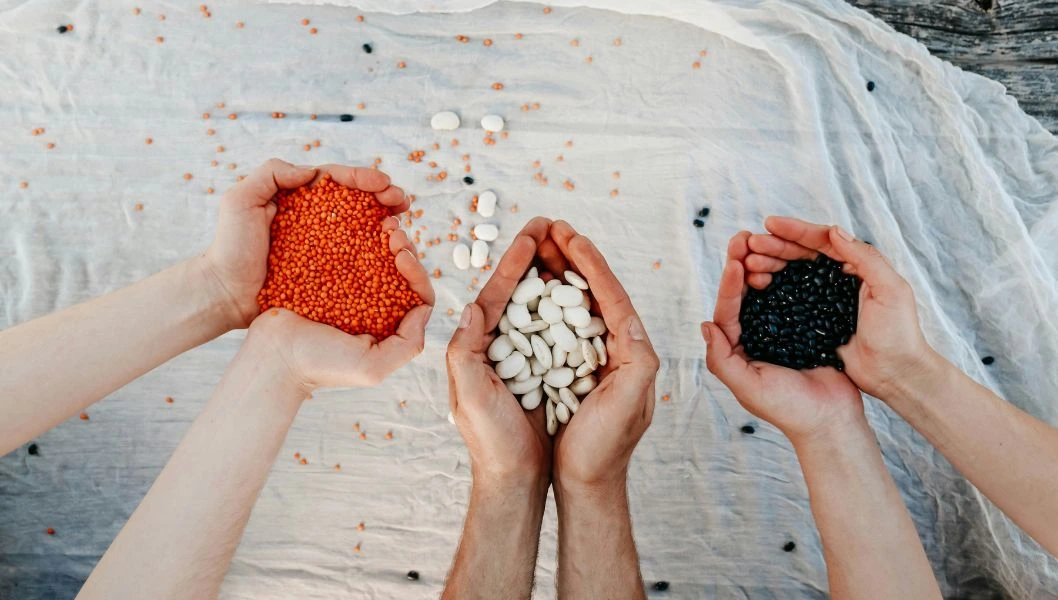 High protein foods legumes